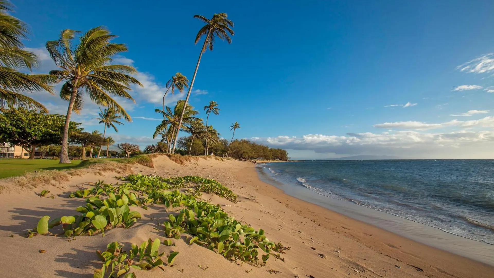 Kihei Resort 128B